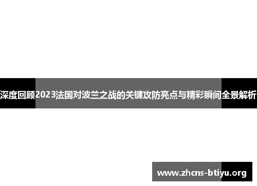 深度回顾2023法国对波兰之战的关键攻防亮点与精彩瞬间全景解析